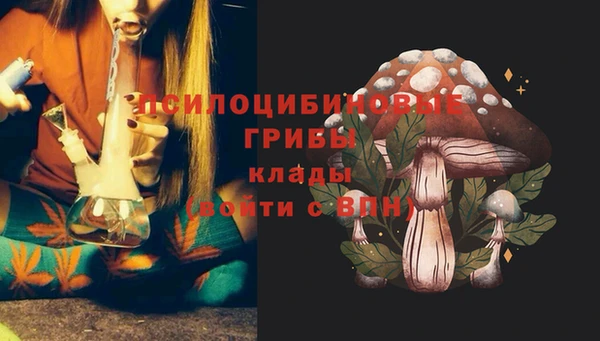 спиды Зеленокумск