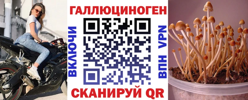 Псилоцибиновые грибы ЛСД  Купить  Кукмор 